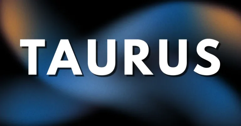 Aspiradores Taurus